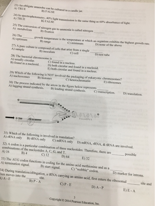 Solved LECTURE EXAM 2 MICROBIOLOGY 1) A Cell That Uses An