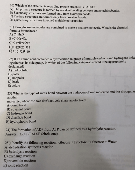Solved 20) Which Of The Statements Regarding Protein | Chegg.com