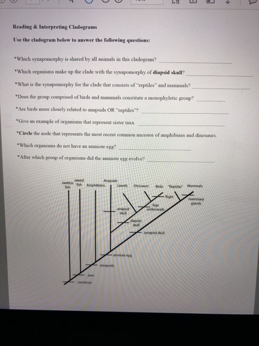 30++ Cladogram Worksheet Answer Key