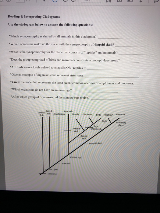 constructing a cladogram worksheet answers