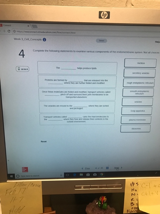 Solved C O Https// Week 3 Cell Concepts Help 4 Statement...