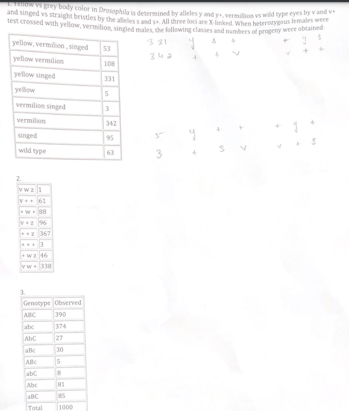 Solved Linkage Problems 1. A wild type strain of