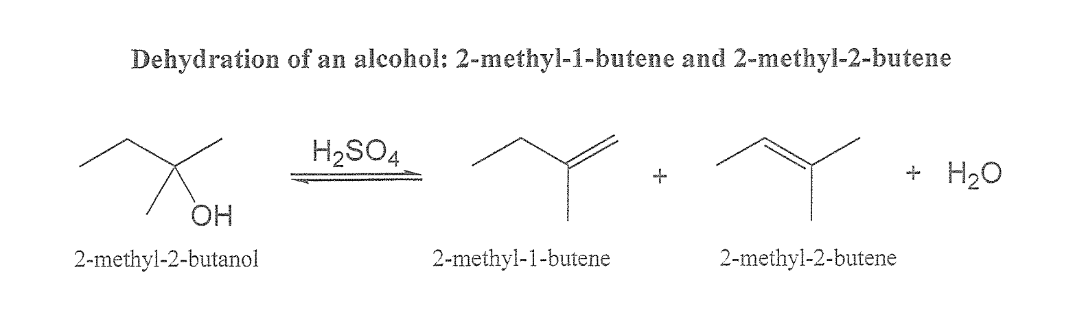 Solved Experiment 10 Dehydration Of An Alcohol 2methyl...