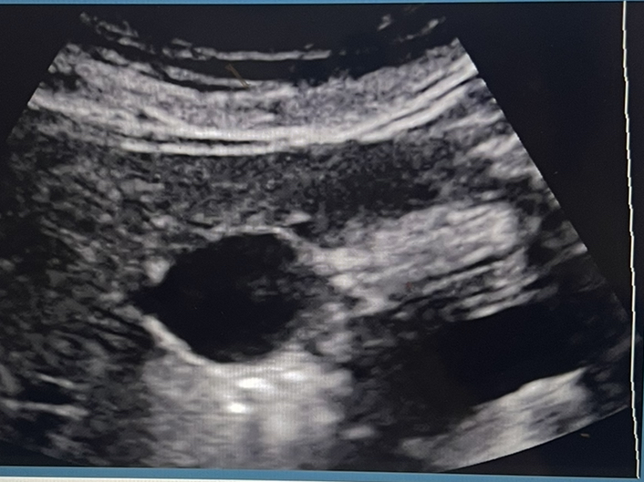 Solved IDENTIFY THE STRUCTURES | Chegg.com