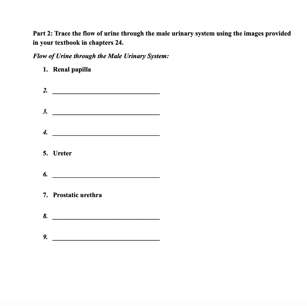 Solved Part 1 For each term, provide a definition from