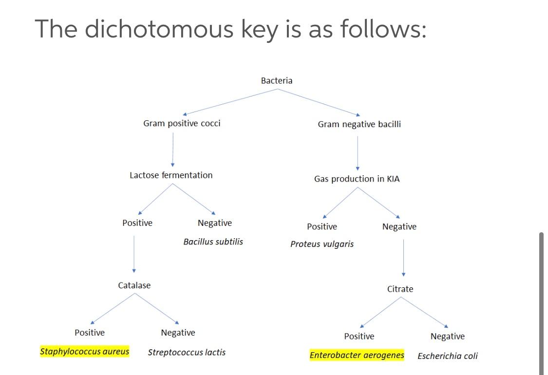 Solved What would be the statement of purpose for this lab | Chegg.com