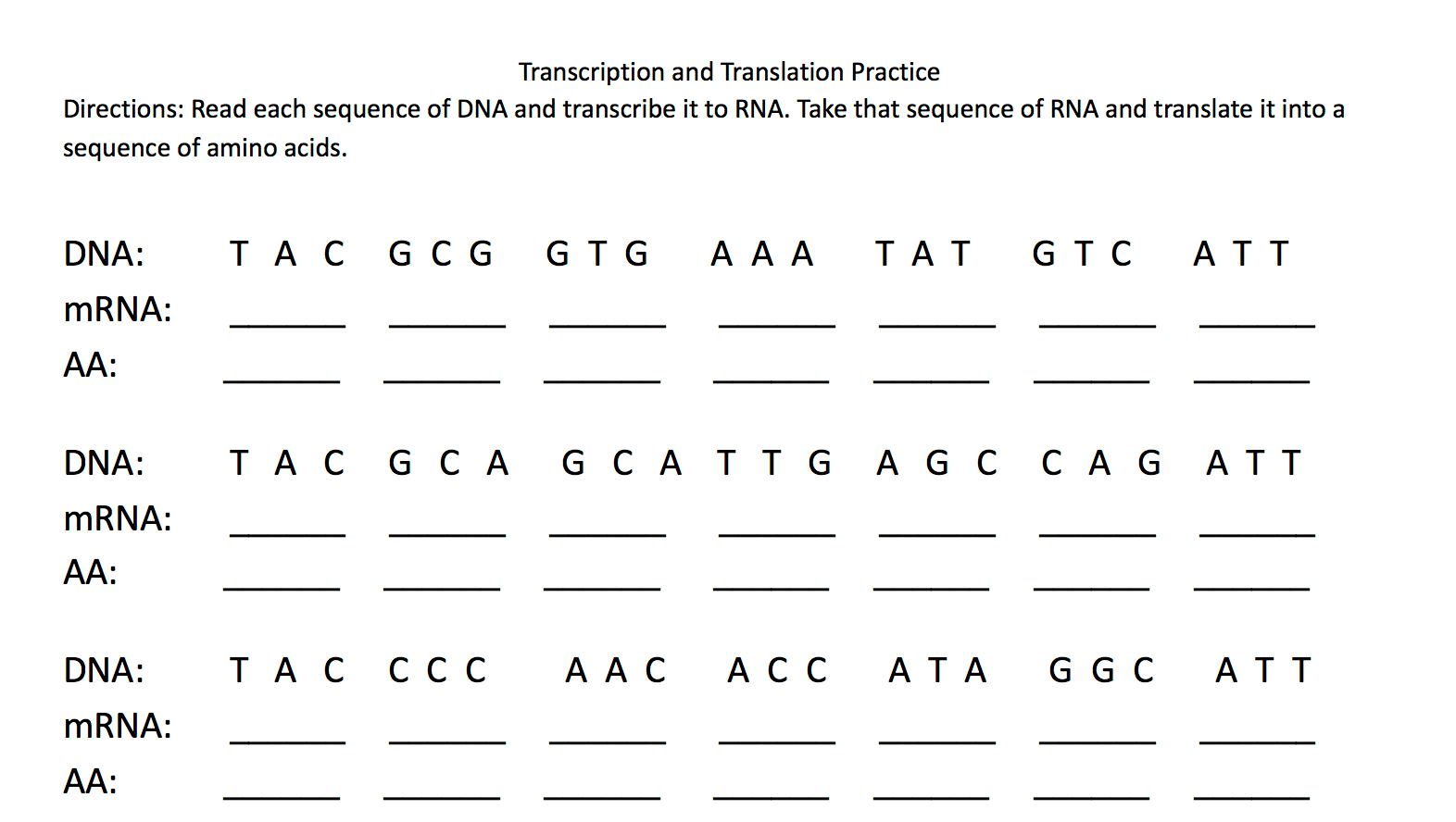 Transcription And Translation Practice Worksheet - Onlineworksheet.my.id