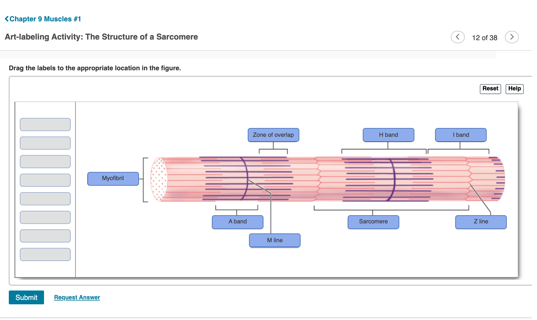 artlabeling activity structure