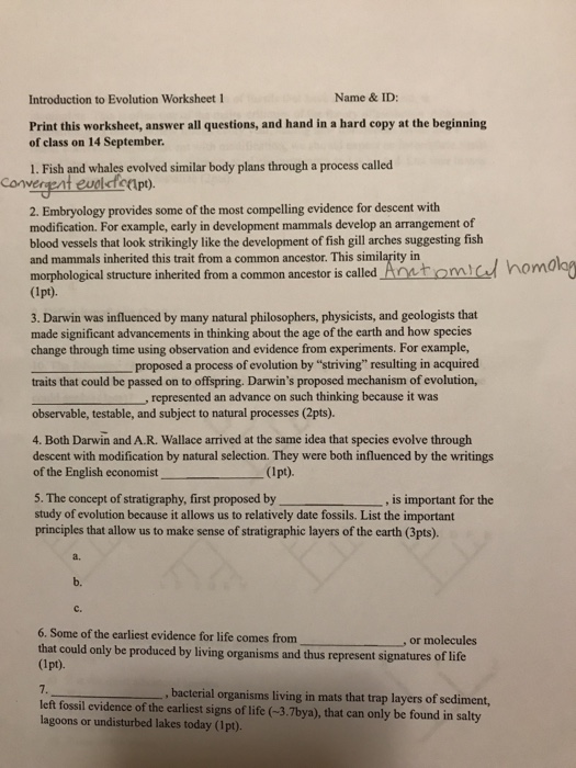 Solved Introduction to Evolution Worksheet 1 Name & ID: | Chegg.com