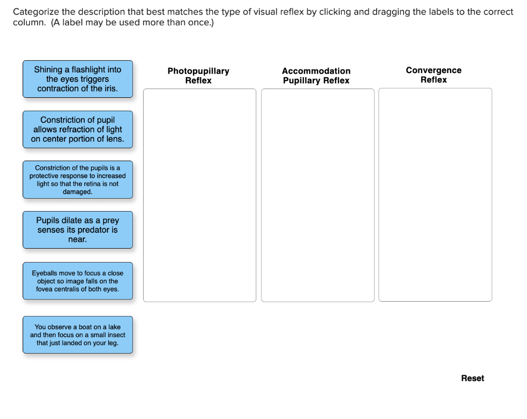 Solved Categorize the description that best matches the type