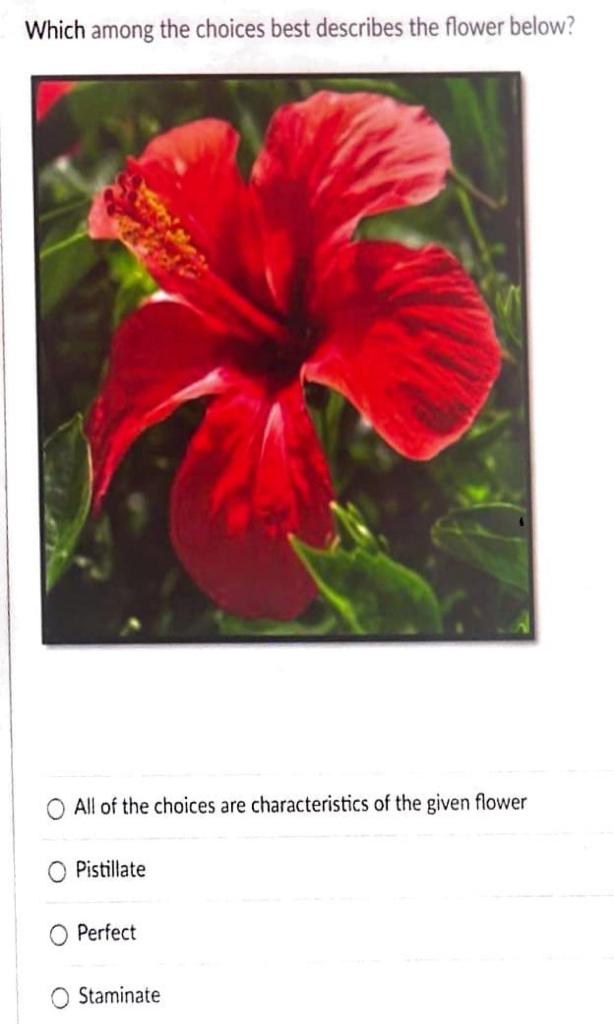 Solved Need Help! Will Give An Upvote For Your Answers To | Chegg.com