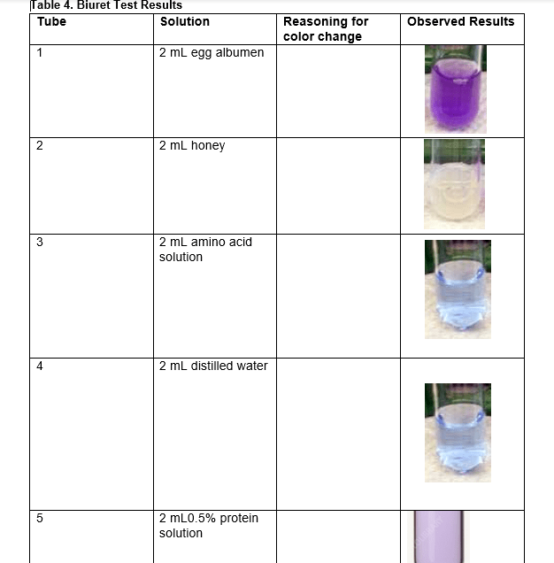 Solved Table 4. Biuret Test Results Tube Solution Observed