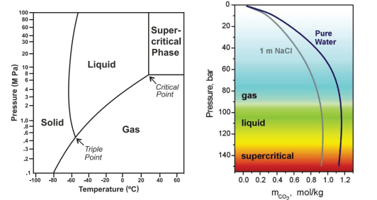 Solved The phase diagram of CO2 (left) and the solubility | Chegg.com