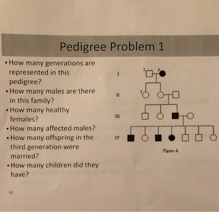 Solved Pedigree Problem 1 How many generations are