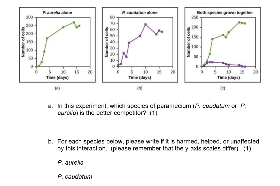 Solved P. aurelia alone P. caudatum alone Both species grown