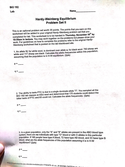 Hardy Weinberg Worksheet Answers Balancing Equations Worksheet