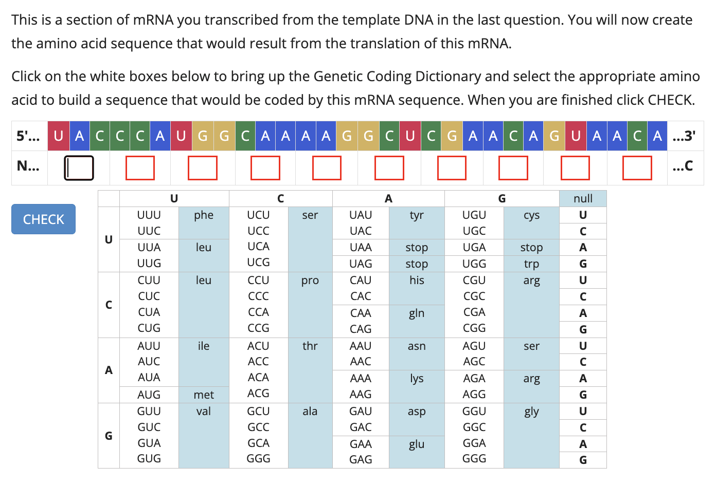 Solved This is a section of mRNA you transcribed from the
