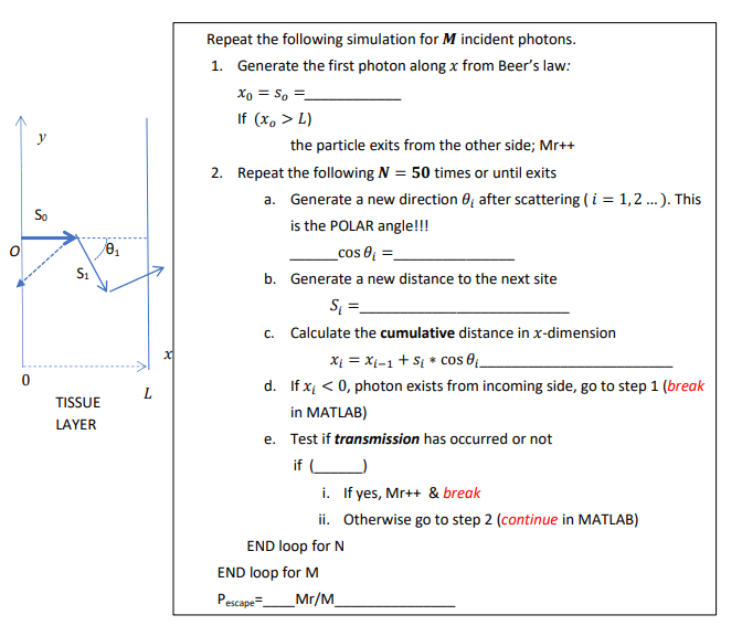 CODE IN MATLAB Write a Monte Carlo simulation