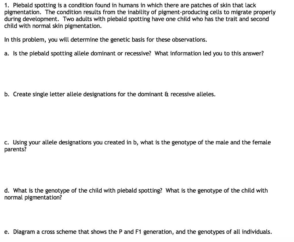 Solved 1. Piebald spotting is a condition found in humans in