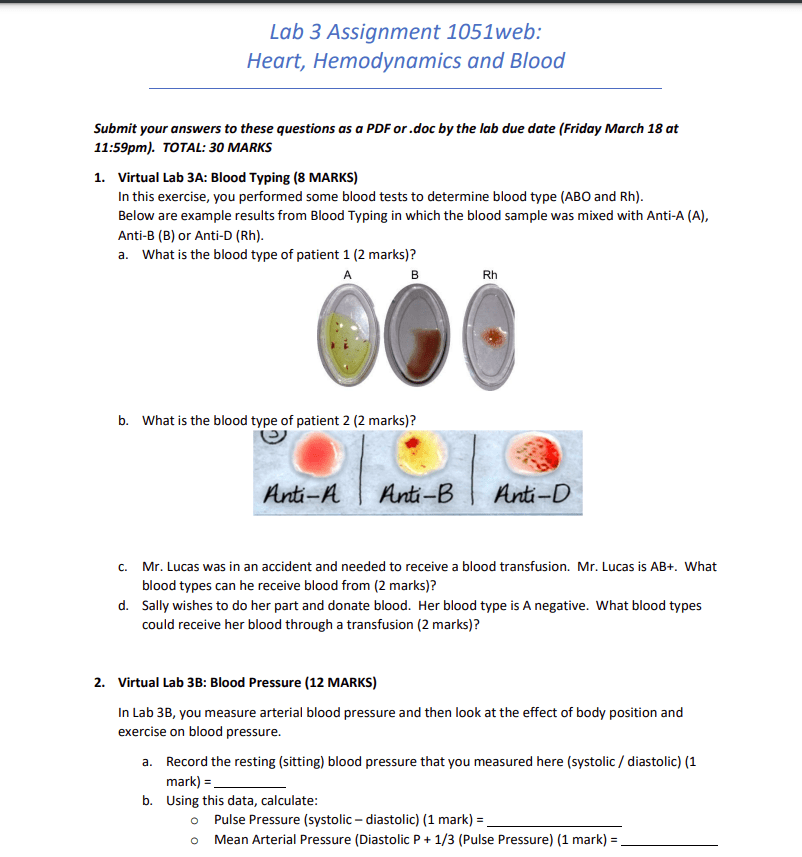Solved Lab 3 Assignment 1051web: Heart, Hemodynamics and | Chegg.com
