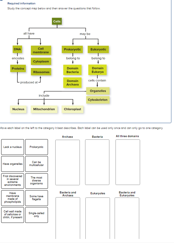 Dna Concept Map Answers Solved Required Information Study the concept map below and