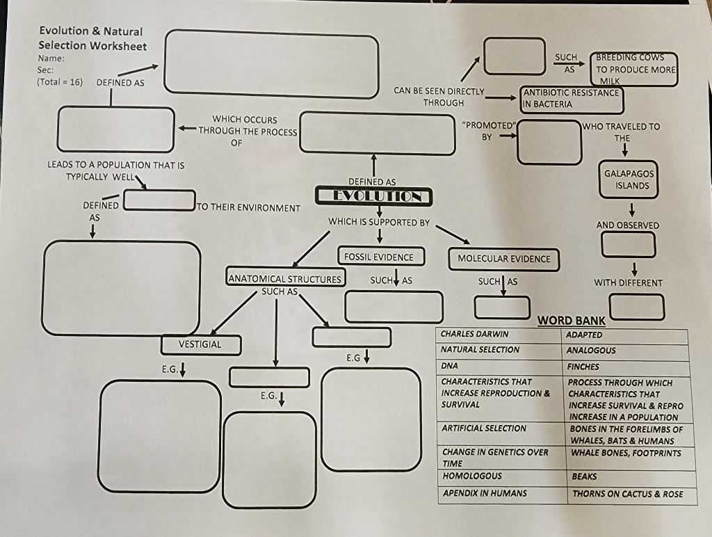 Solved Evolution \& Natural Selection Worksheet Name: Sec: | Chegg.com