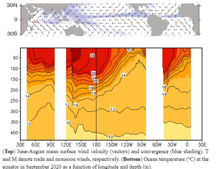Solved 30N + 0 305 28 50 100 26 24 150 16 200 18 16 250 12