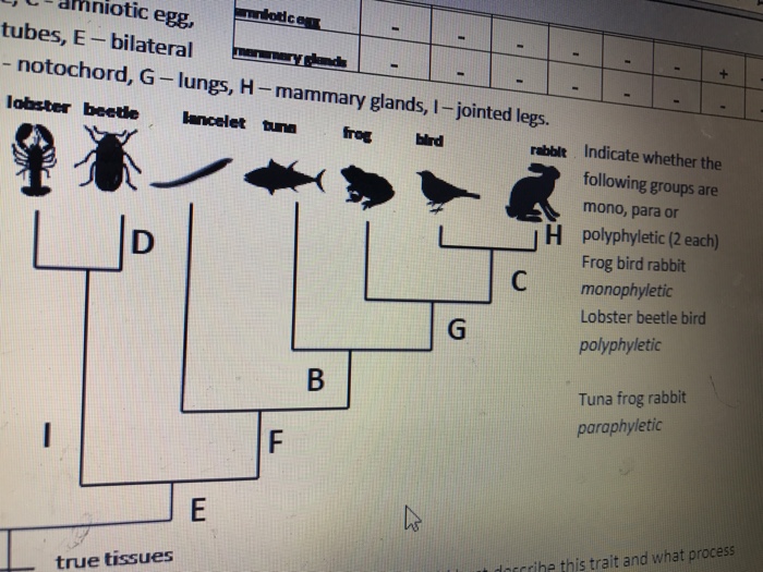 Solved Indicate Whether The Following Groups Are Mono, Pa...