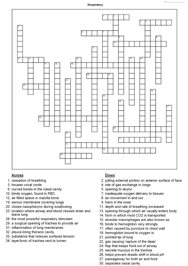 Solved Respiratory H U Across 1. Cessation Of Breathi...