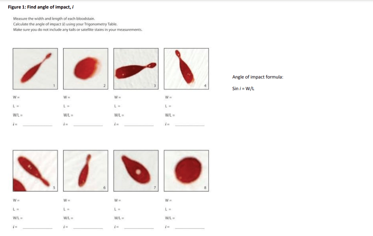 Solved PRACTICAL Blood Spatter Analysis (ASISTM Project