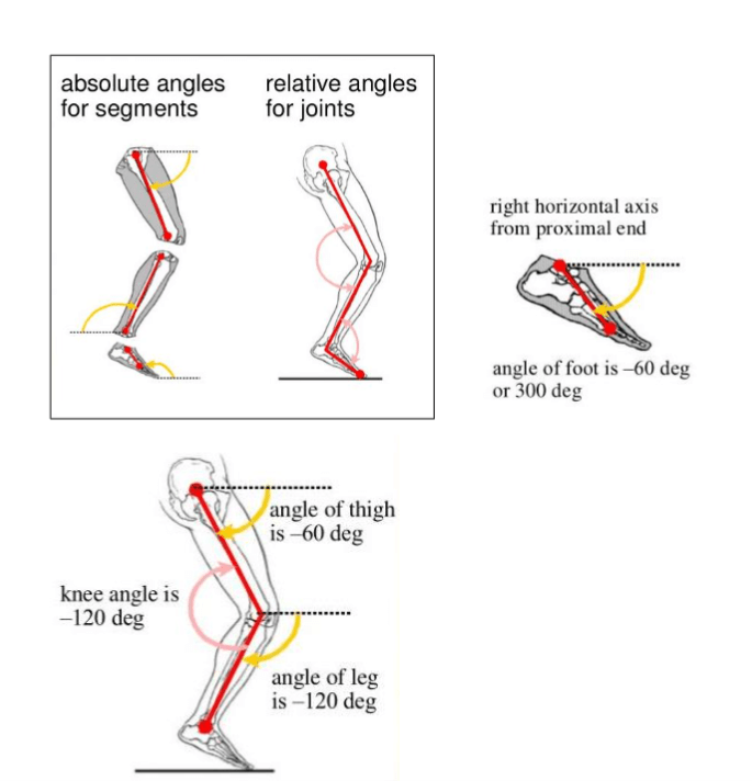 Solved Measure and record the following angles for the