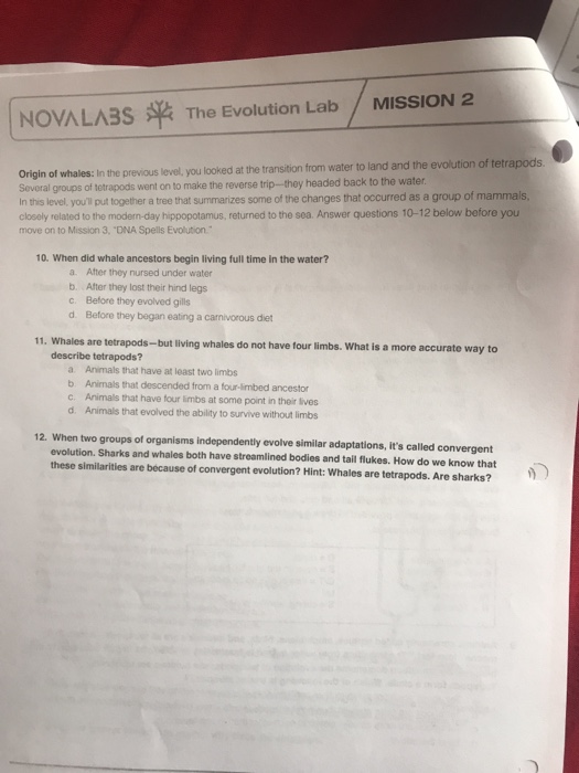 Nova Labs: The Evolution Lab Answer Key › Athens Mutual Student Corner