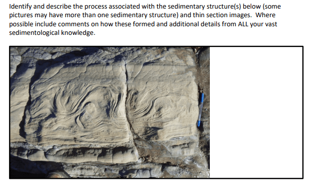 Solved Identify and describe the process associated with the | Chegg.com