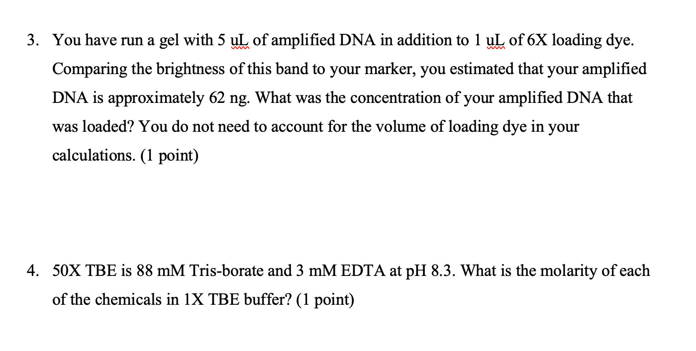 3. You have run a gel with 5 uL of amplified DNA in