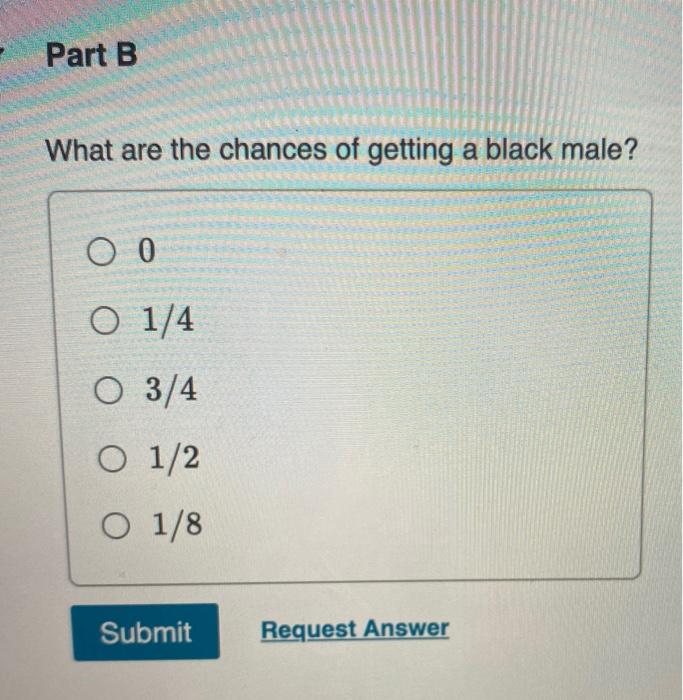 Solved In cats, orange coat color is determined by the