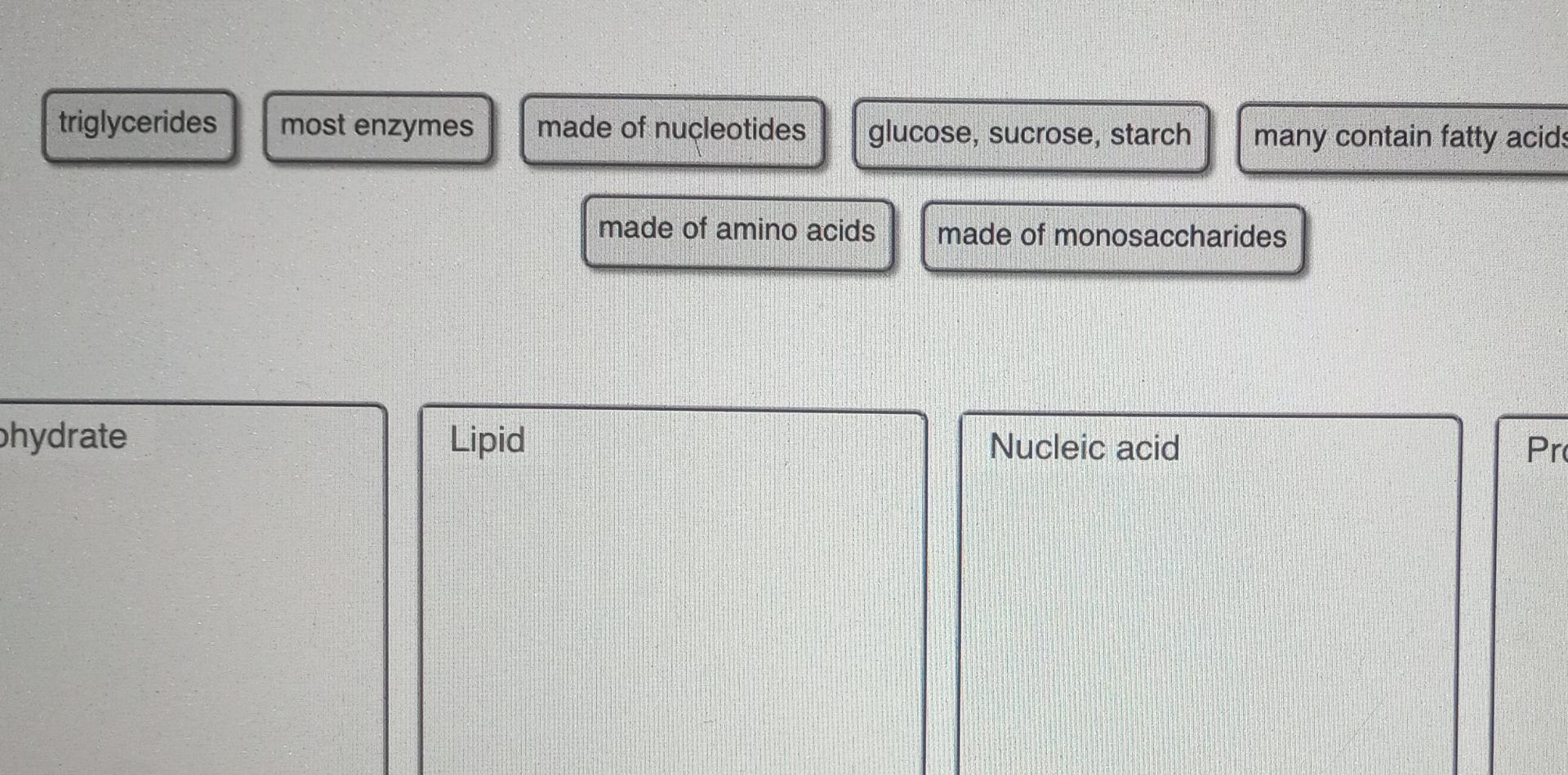 Solved triglycerides most enzymes made of nucleotides