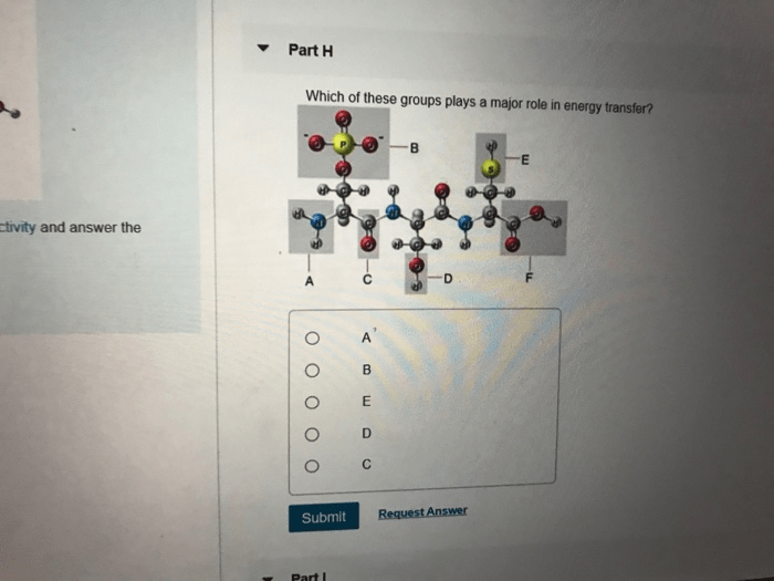 Solved Part F Which Of The Functional Groups Behaves As A | Chegg.com