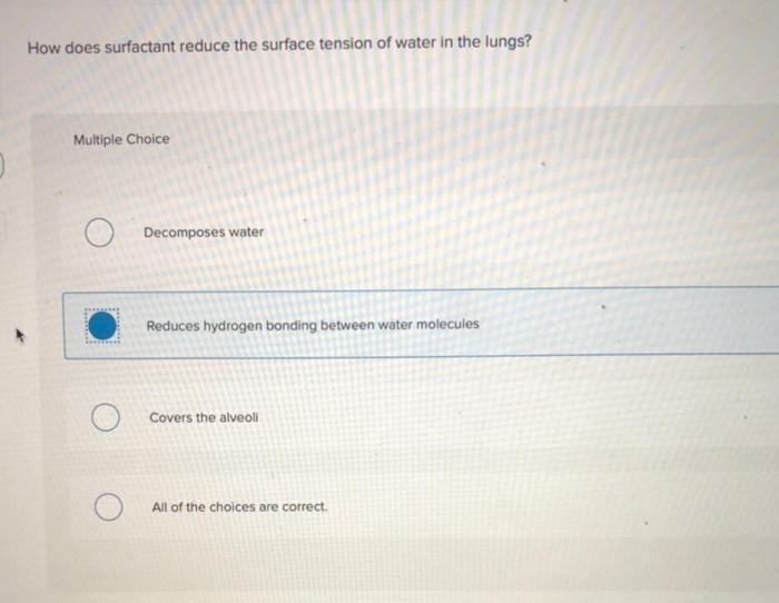 Solved How does surfactant reduce the surface tension of
