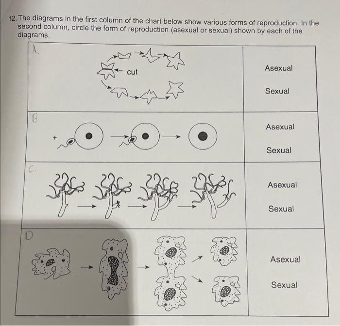 Solved 10. How does the type of reproduction shown in method Chegg