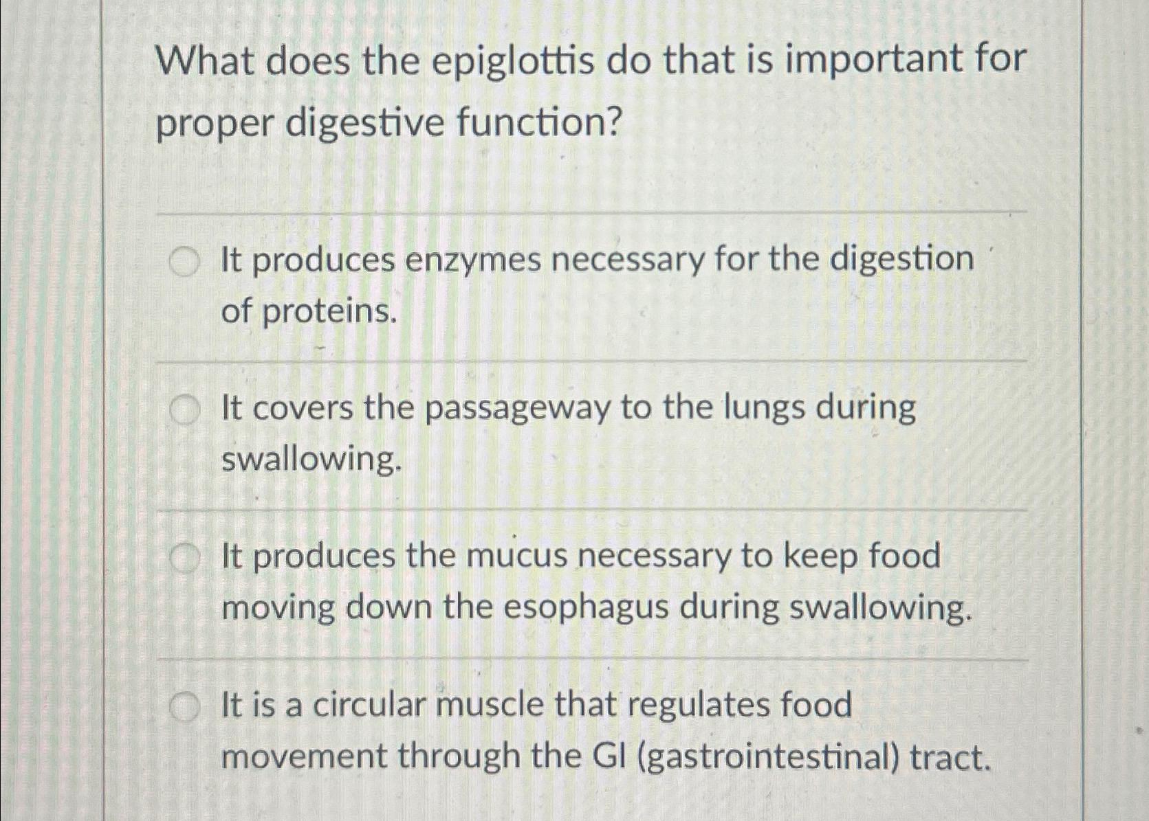 Solved What does the epiglottis do that is important for | Chegg.com