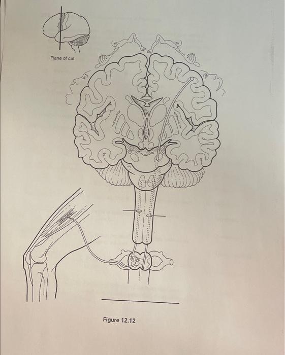 Solved 7. First, examine the diagram in Figure 12.12 to | Chegg.com