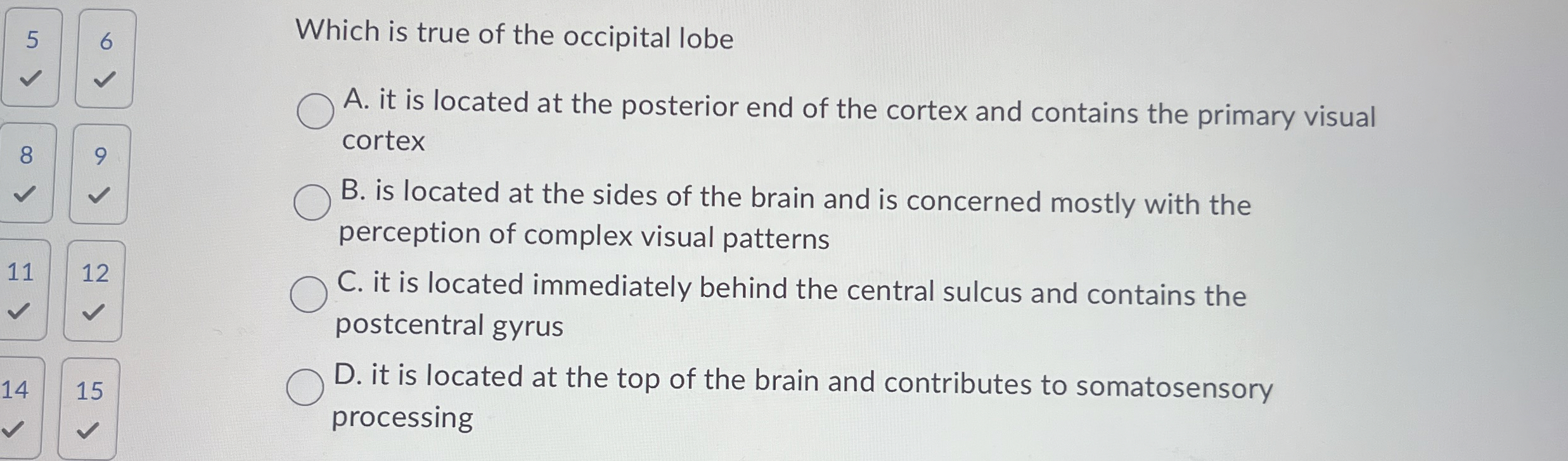 Solved 5Which is true of the occipital lobeA. ﻿it is located