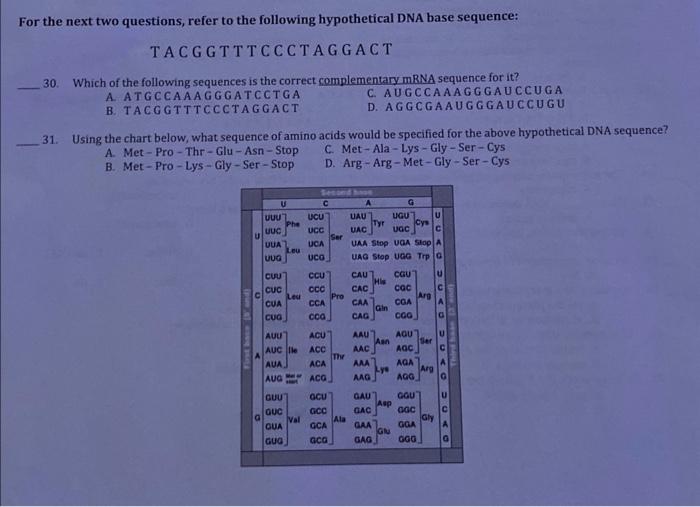 Solved 26. Bacterial plasmids and artificial chromosomes are