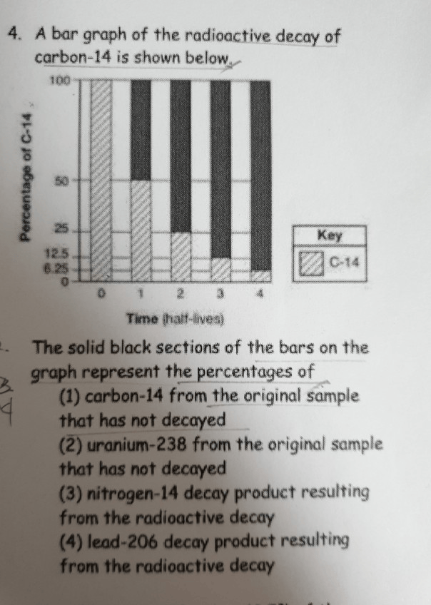 Solved 3. Radioactive Decay Of 40K Atoms In An Igneous Ro