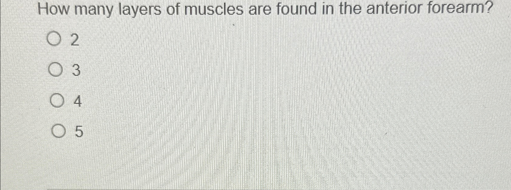 Solved How many layers of muscles are found in the anterior