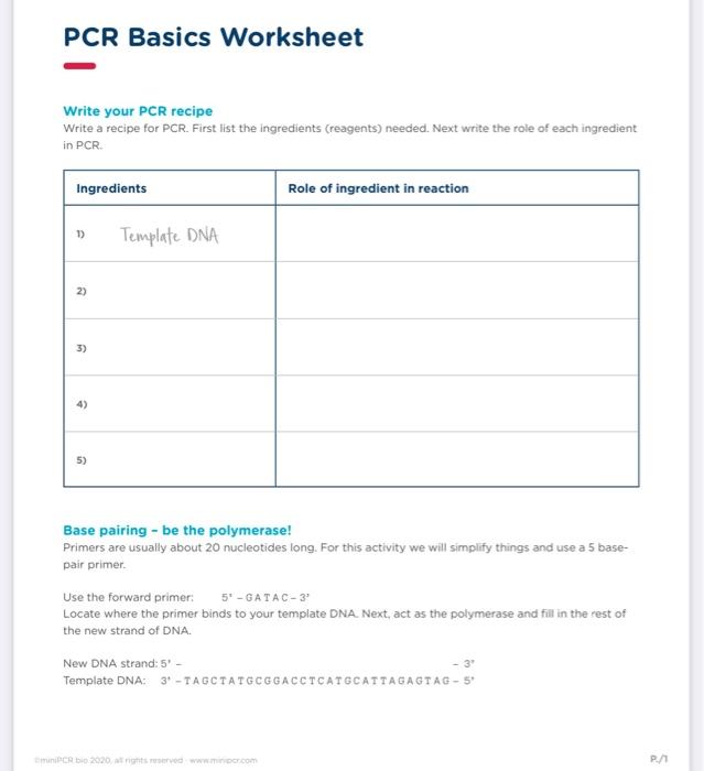 Solved PCR Basics Worksheet Write your PCR recipe Write a | Chegg.com