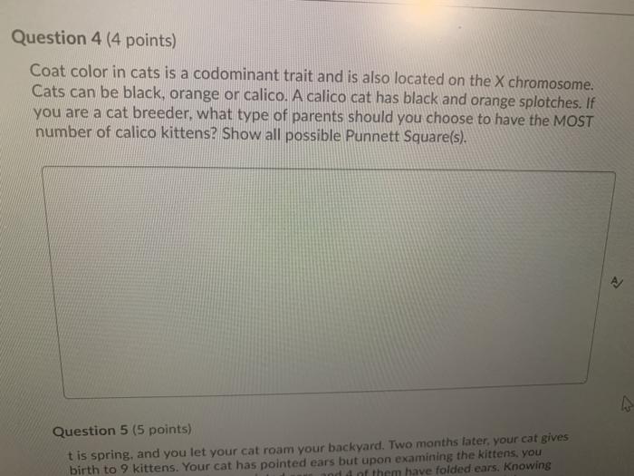 Solved Question 4 (4 points) Coat color in cats is a