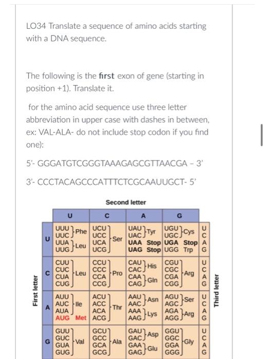 Solved LO34 Translate a sequence of amino acids starting