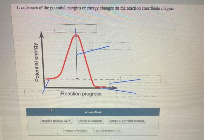 Solved Which Definition Best Describes The Term Activation | Chegg.com
