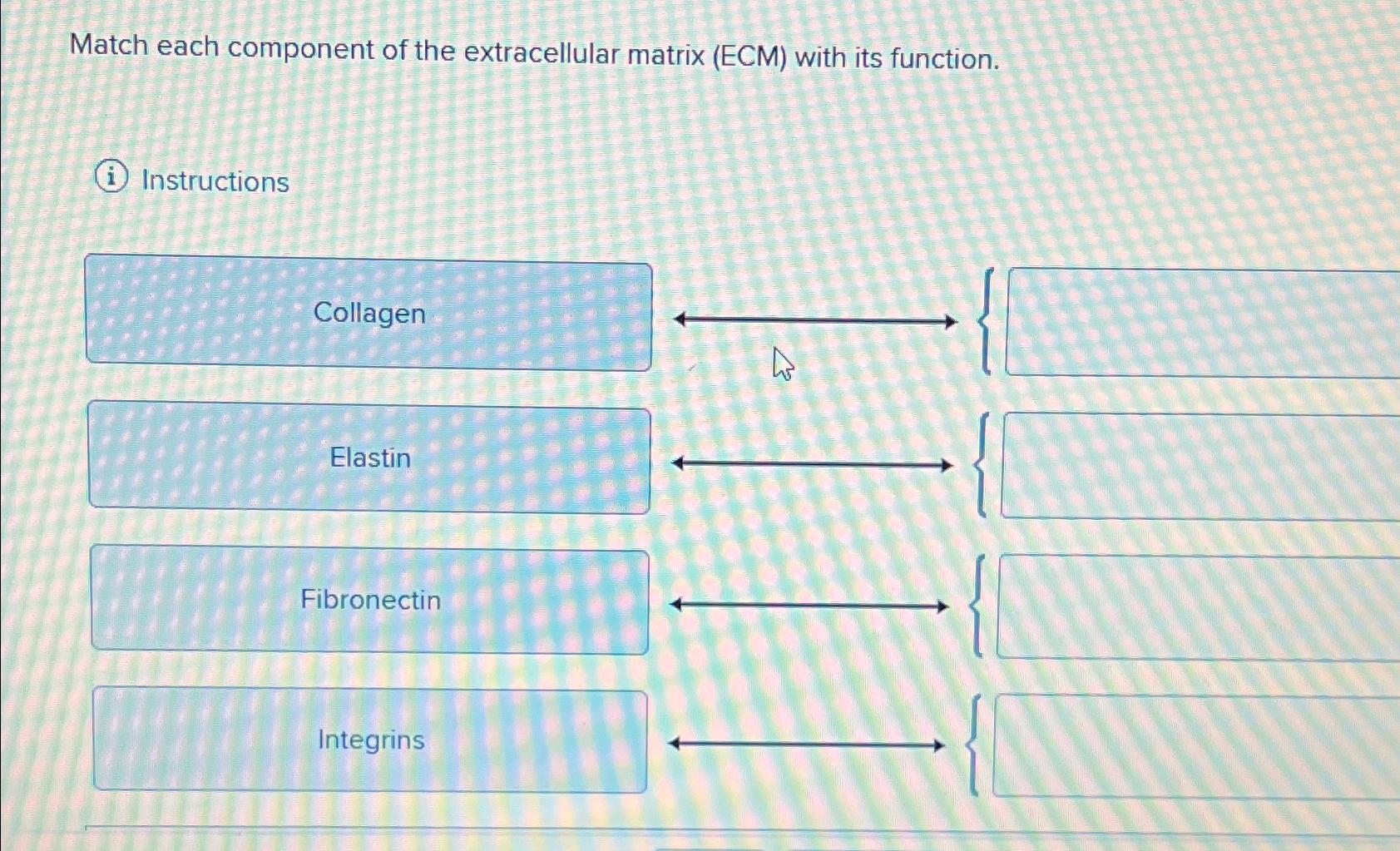Solved Match each component of the extracellular matrix